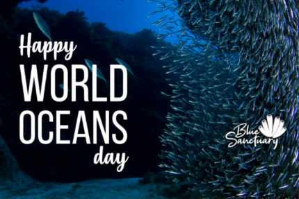 World Oceans Day