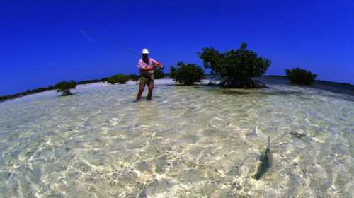 World Oceans Day