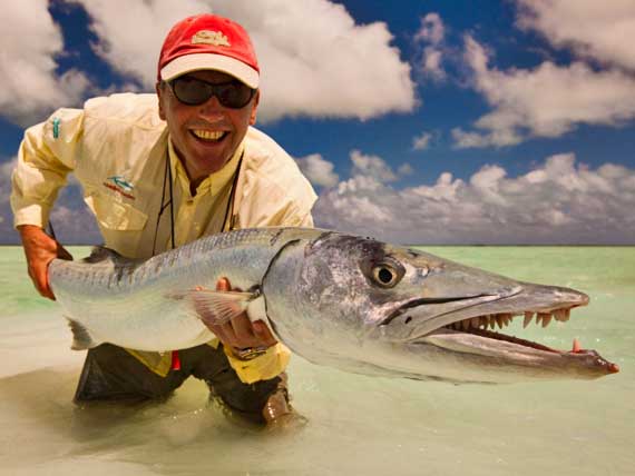 Other Caribbean Fishes